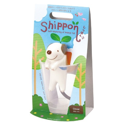 【コップでガーデニング】しっぽん（イヌ・クローバー）