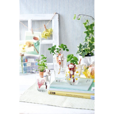 【コップでガーデニング】しっぽん（サル・バジル）