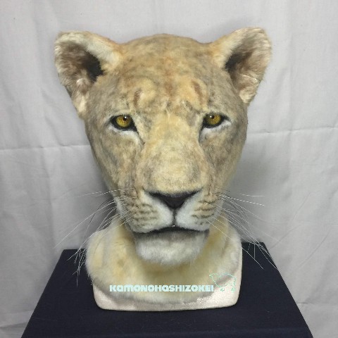 メスライオンのかぶりもの【キャンセル不可】