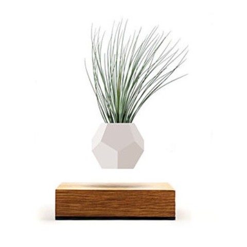 【THT Japan】ライフ/植物を浮かせる新時代プランター