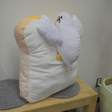 【shigemi】ふかふか特大クッション