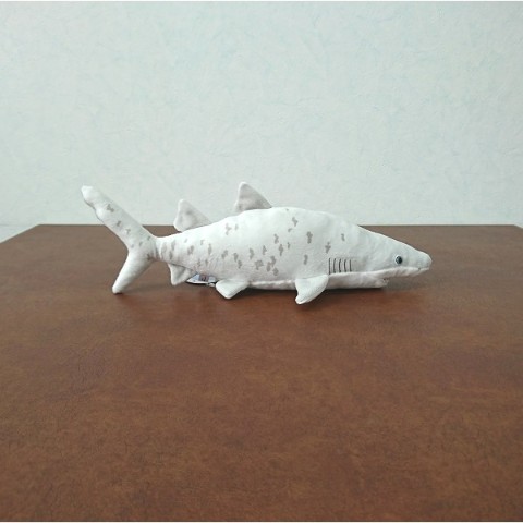 【わくわく図鑑シリーズ】シロワニ