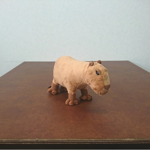 【わくわく図鑑シリーズ】カピバラ