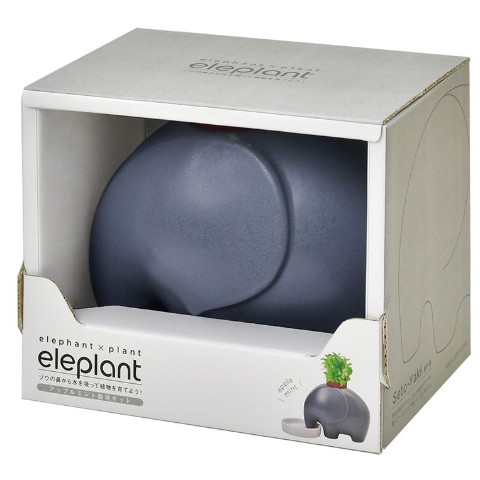 【エレプラント】グレー アップルミント