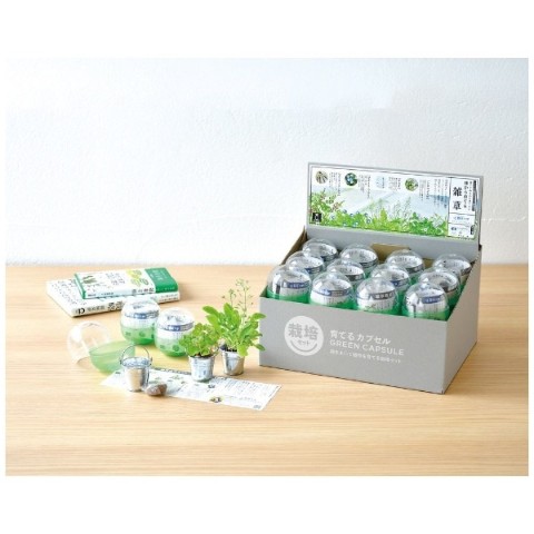 【育てるカプセル】雑草