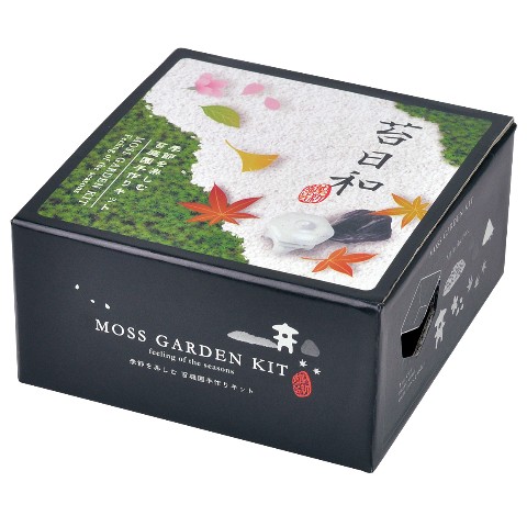 【苔栽培キット】苔日和