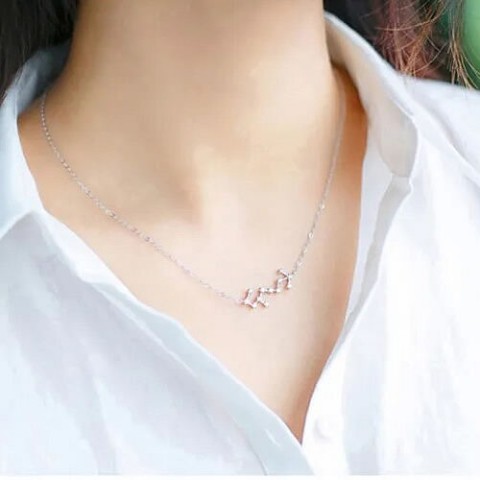 【＃kawaiiiii!】『Scorpio  蠍座』12星座のネックレス