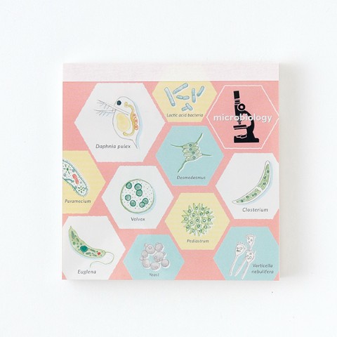 【STUDYHOLIC】メモパッド・スクエア(微生物学)