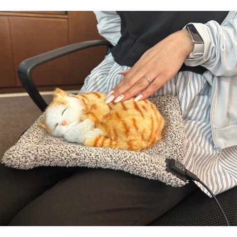 アニマルホットウォーマー ＱｕｕＱｕｕ（茶トラ）