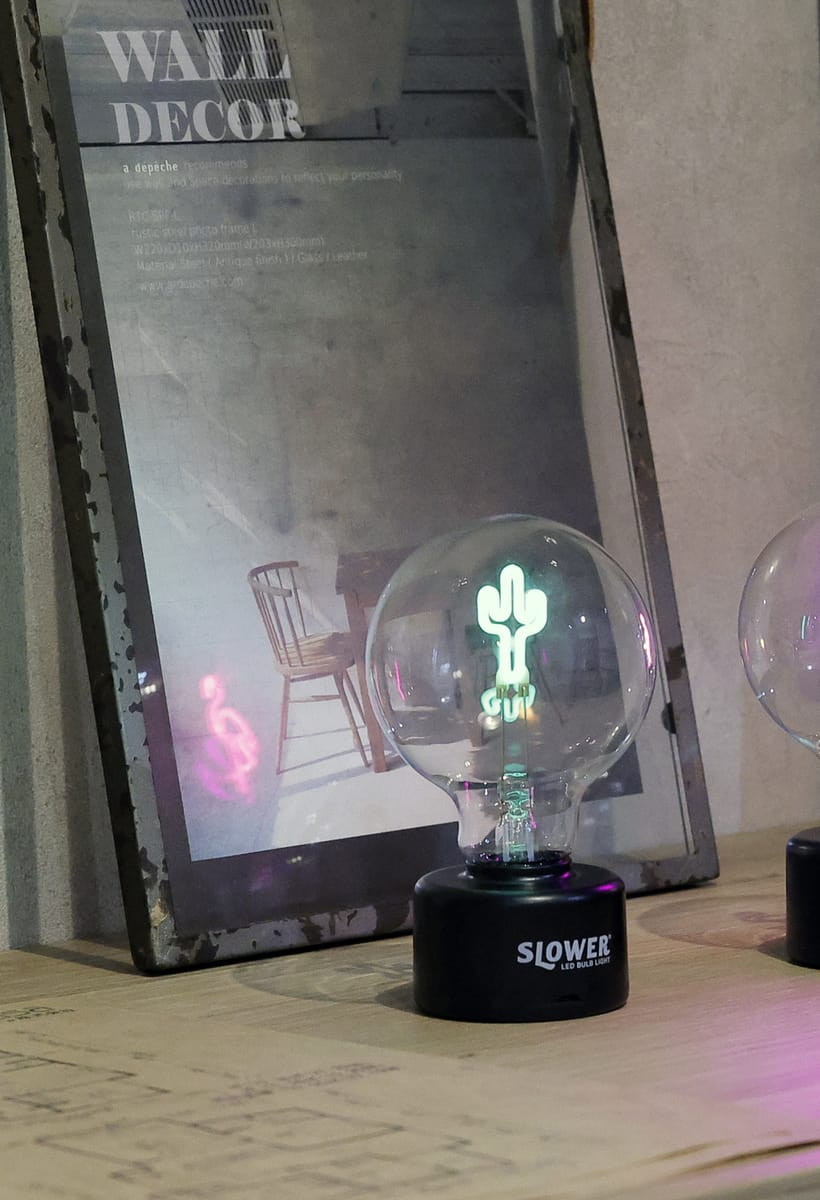 ＬＥＤ　ＢＵＬＢ　ＬＩＧＨＴ　Ｃａｃｔｕｓ