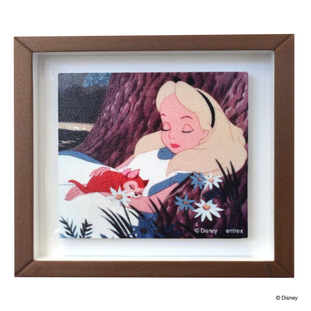 【ディズニー】フレームマグネット　ふしぎの国のアリス／１２ｐｃｓアソート