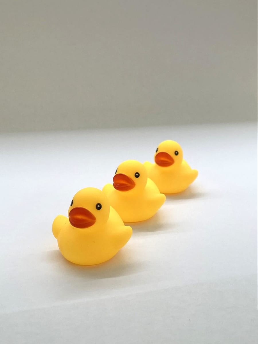 アヒルちゃん　小　３Ｐ（ＮＥＷ）