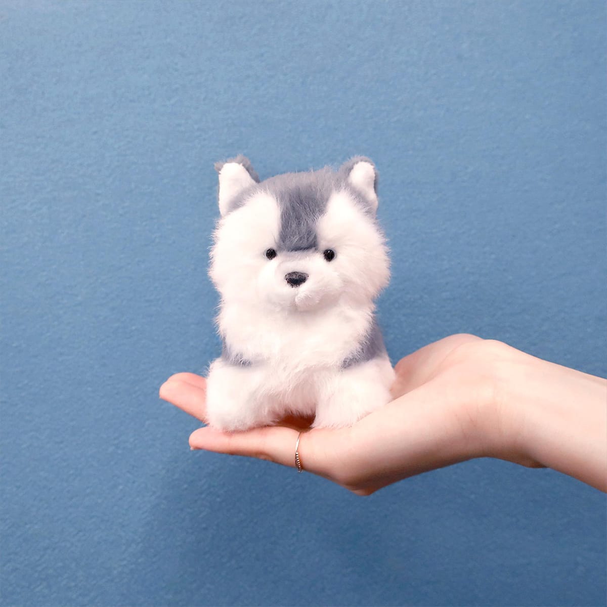 【わたぽ】ぬいぐるみ 犬のなかま　ハスキー