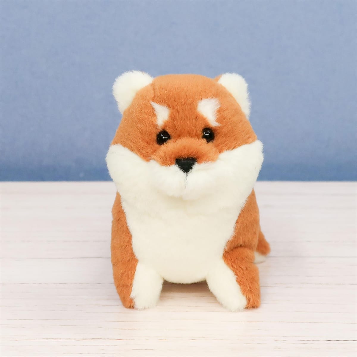 【わたぽ】ぬいぐるみ 犬のなかま　柴犬