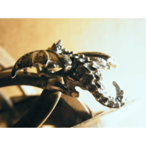 【林檎屋】手乗りドラゴン・トップ