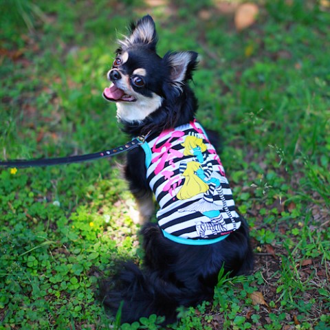 【unsung hero】萌えっ仔犬服　ロリコロリ参上!!!（XLサイズ）